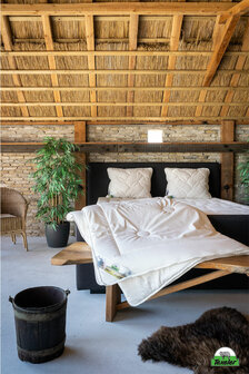 Texeler Tencel 200 gram dekbed