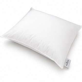 Morgenster fiberdaun kussen