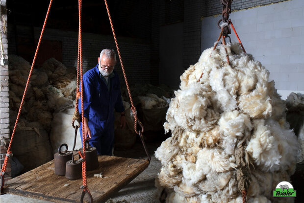 Texeler Tencel 200 gram dekbed