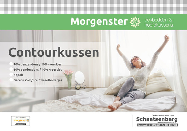 Morgenster hoofdkussens 