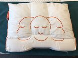 Silvana-Support-Saphir-Oranje-60x70-proefkussen
